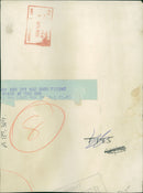 Animal Polar Bear: - Vintage Photograph