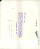 Animal Polar Bear: - Vintage Photograph