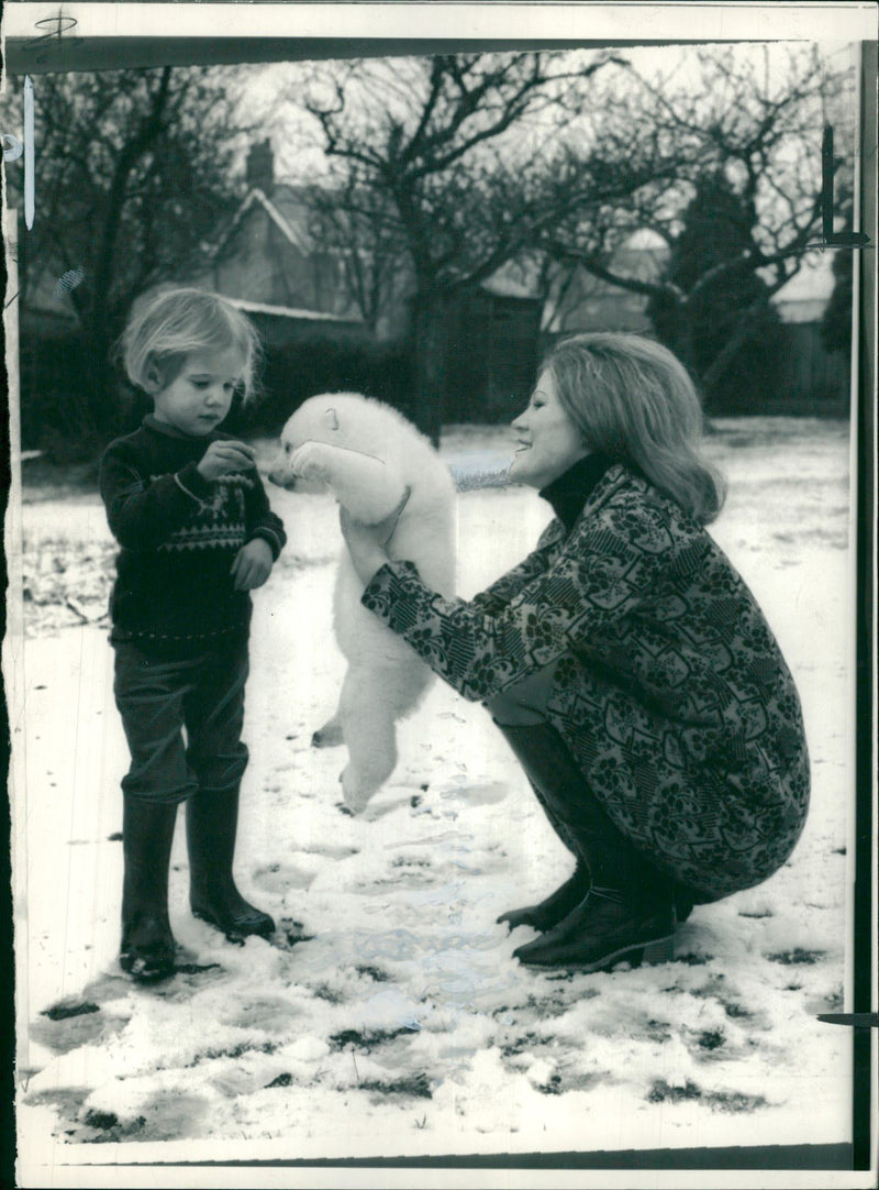 Animal Polar Bear: - Vintage Photograph