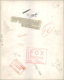 Polar bear: brumas braves. - Vintage Photograph