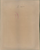 Polar bear: - Vintage Photograph