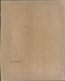 Polar bear: - Vintage Photograph