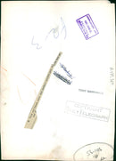 Polar bear: tiyak and tineak. - Vintage Photograph