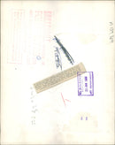 Polar bear:a curtan providing complete privacy. - Vintage Photograph