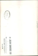 Polar bear: - Vintage Photograph