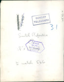 Polar bear: - Vintage Photograph