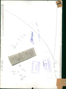 Polar bear: - Vintage Photograph