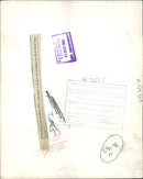 Polar bear: - Vintage Photograph