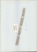 Polar bear: - Vintage Photograph