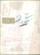 Polar bear: - Vintage Photograph