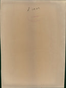 Polar bear: - Vintage Photograph