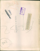 Polar bear: - Vintage Photograph