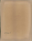 Polar bear: - Vintage Photograph