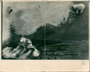 Polar bear: - Vintage Photograph