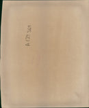 The polar bear: - Vintage Photograph