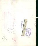 The polar bear:an infra-red . - Vintage Photograph