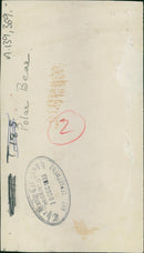 The polar bear: - Vintage Photograph