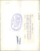 The polar bear:brumas injures a paw. - Vintage Photograph