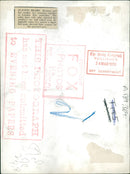 The polar bear: brumas and her mother. - Vintage Photograph