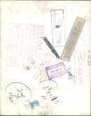 The polar bear: sam the biggest. - Vintage Photograph