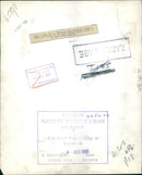 The polar bear:sally at whipsnade zoo. - Vintage Photograph