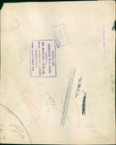 The polar bear: sonja coaxing her twins. - Vintage Photograph