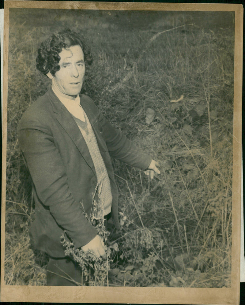 Shepherd's Bush murders: - Vintage Photograph