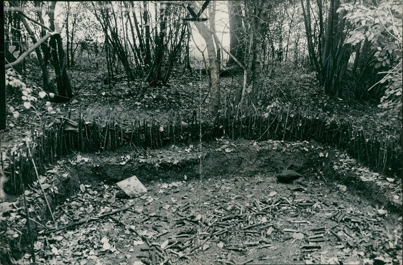 Shepherd's Bush murders - Vintage Photograph