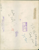 Animal Brown Bear: - Vintage Photograph