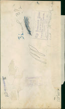 Animal Brown Bear: - Vintage Photograph