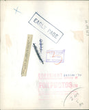 Animal Brown Bear: - Vintage Photograph