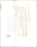 Animal Brown Bear: - Vintage Photograph