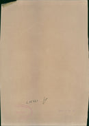 Animal Brown Bear: - Vintage Photograph