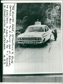 Animal Brown Bear: - Vintage Photograph