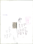 Animal Brown Bear: - Vintage Photograph