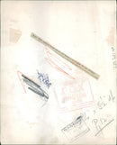 Animal Brown Bear: - Vintage Photograph