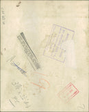 Animal Brown Bear: - Vintage Photograph