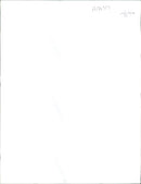 Animal Brown Bear: - Vintage Photograph