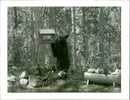 Animal Brown Bear: - Vintage Photograph