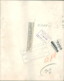 Animal Brown Bear: - Vintage Photograph