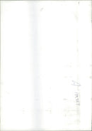 Animal Brown Bear: - Vintage Photograph