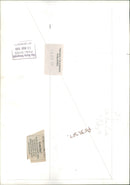 Animal Brown Bear: - Vintage Photograph