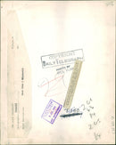 The brown bear: a four month old. - Vintage Photograph