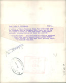 The brown bear: cubs at whipsnade. - Vintage Photograph