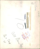 The brown bear: griff cub. - Vintage Photograph