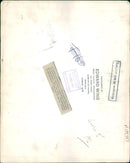 The brown bear: a cautious confrontatio.n - Vintage Photograph