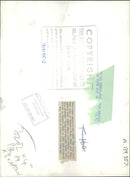 The brown bear: the three black cubs. - Vintage Photograph