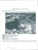 The brown bear: - Vintage Photograph