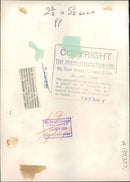 The brown bear: the only shower. - Vintage Photograph