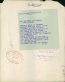 The brown bear: army sun bear. - Vintage Photograph